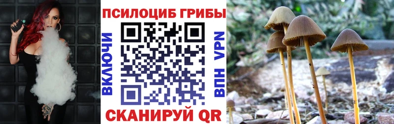 Галлюциногенные грибы Psilocybine cubensis  Красногорск 